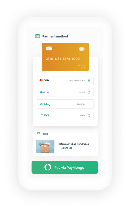 Simplifying payments for the modern business | PayMongo