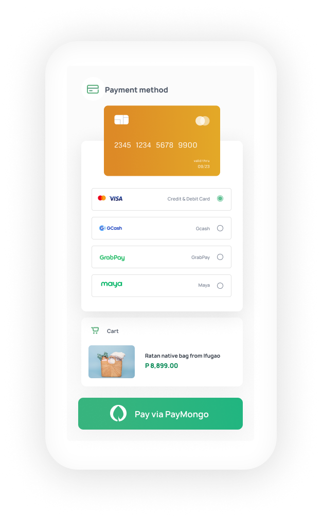 Simplifying Payments For The Modern Business Paymongo