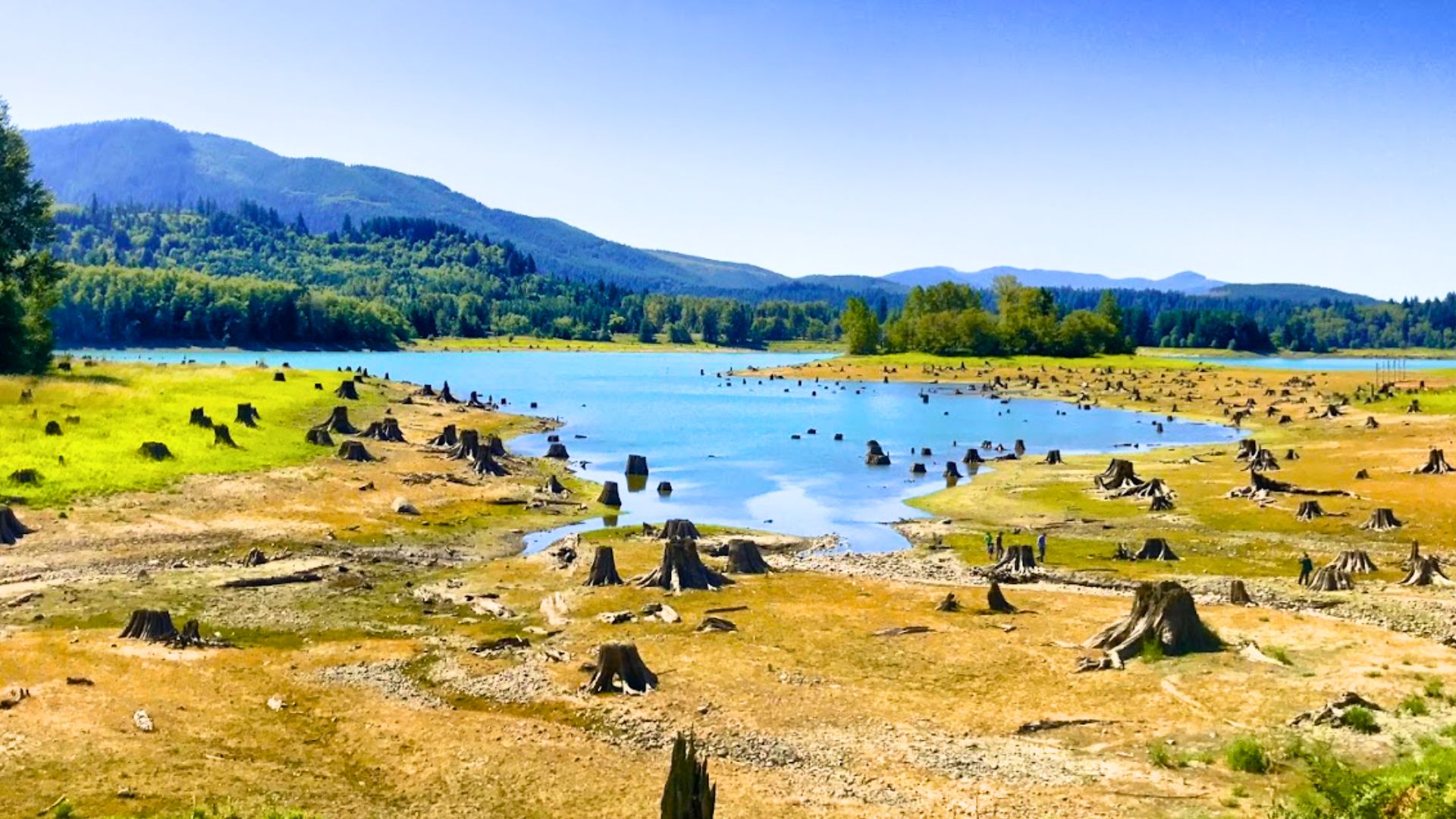 Alder Lake Park WeCamped