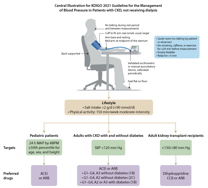 Overview Of Chronic Kidney Disease CKD Toolkid WCHQ overview-of-chronic-kidney-disease-ckd-toolkid-wchq