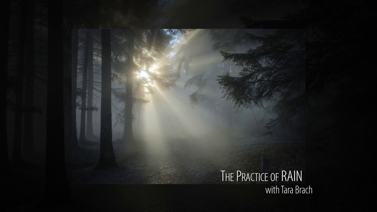 Tara Brach leads a Guided Meditation: The Practice of RAIN - Video - Tara Brach PhD