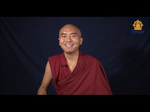 Building a Stable Meditation Practice - Video - Mingyur Rinpoche