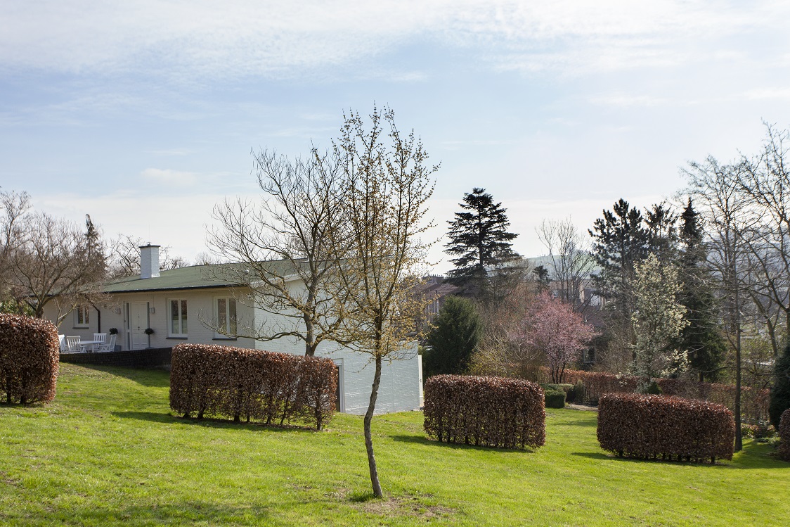 Uitzicht over de heuvel in Limburg