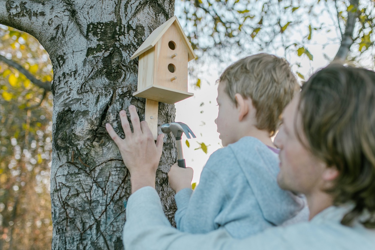 vogelhuisje ophangen