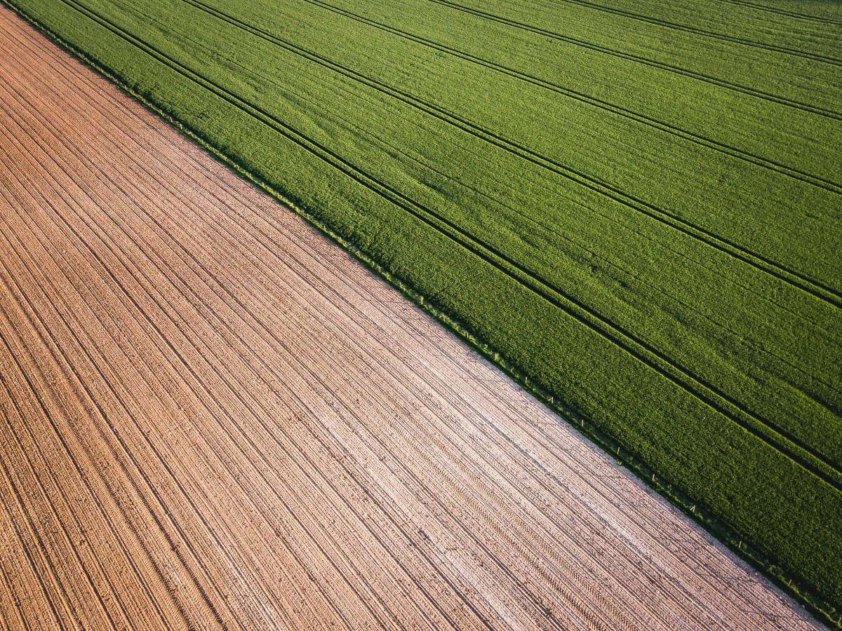 Farmer's field