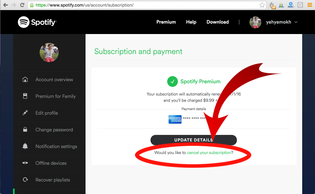 Cancel Spotify Instructions