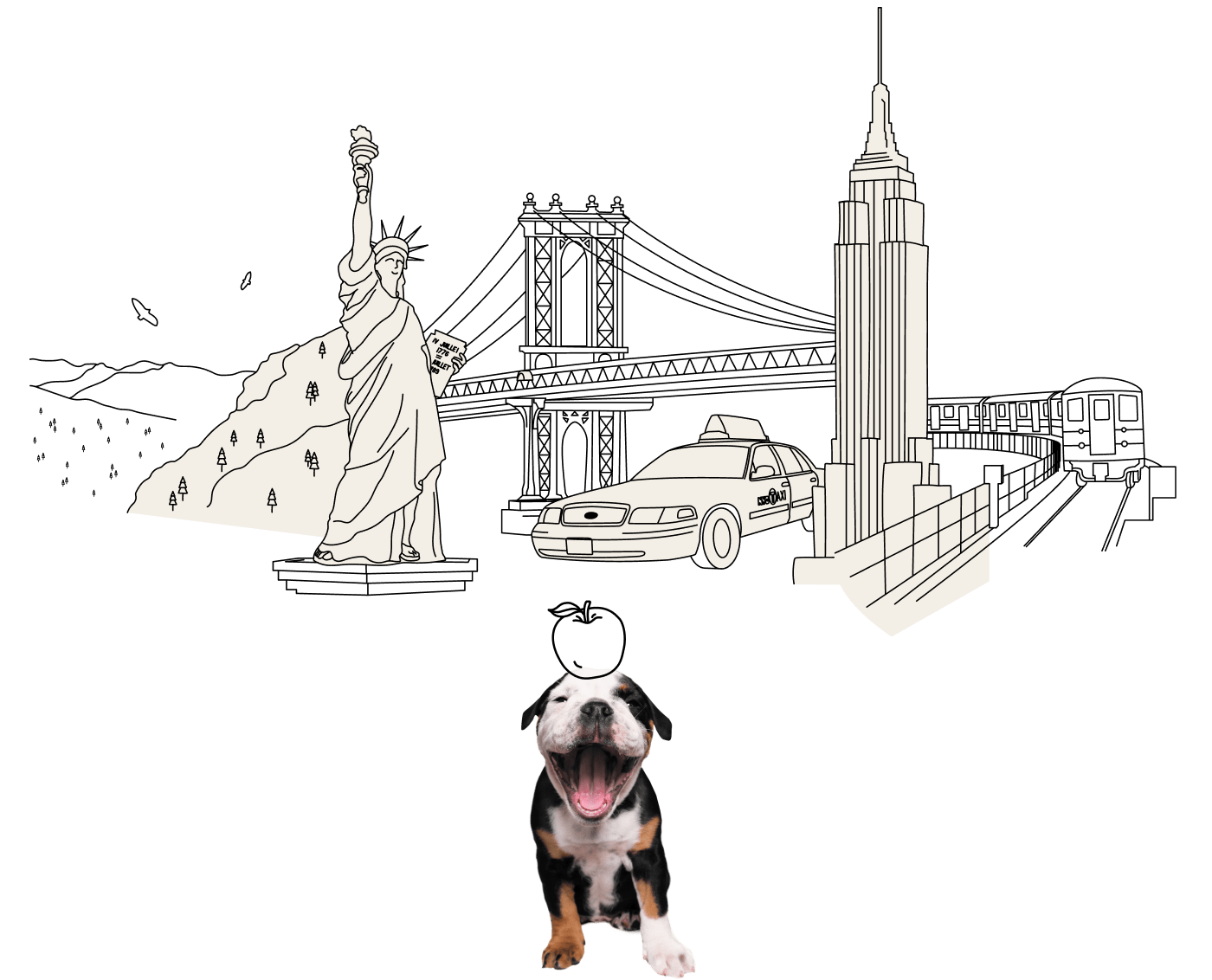 Dog playing fetch with architecture from New York in the background.