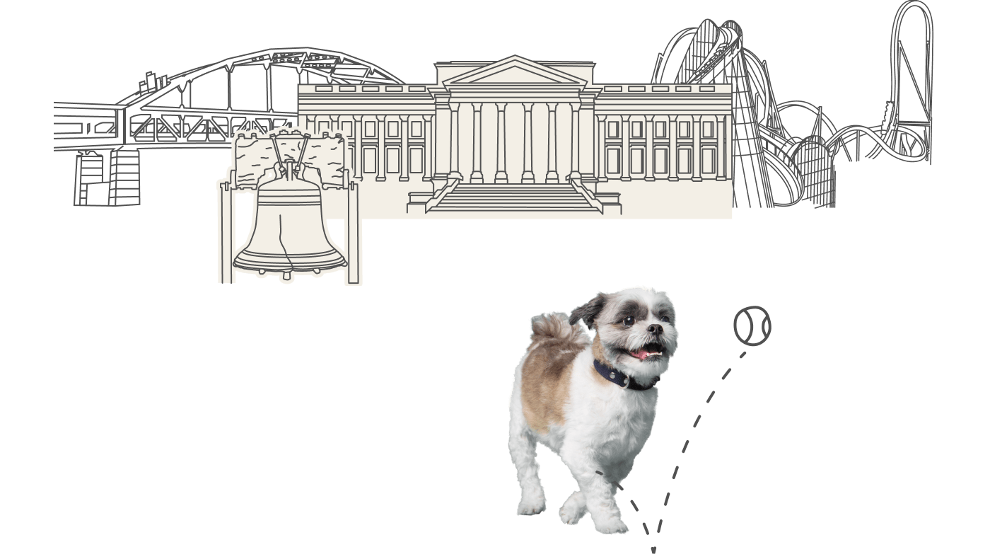 Dog playing fetch with architecture from Pennsylvia in the background.