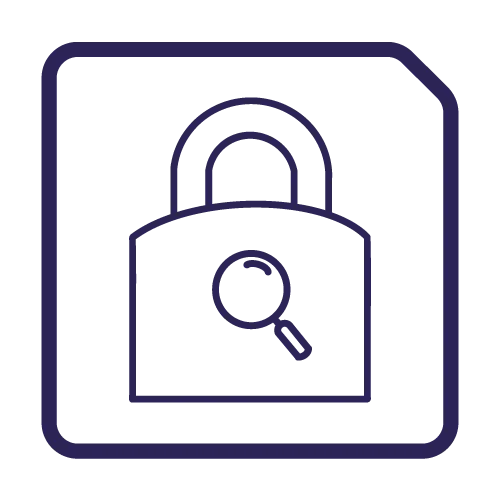 Security IP | Agile Analog