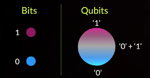 Mastering the quantum code: A primer on quantum software