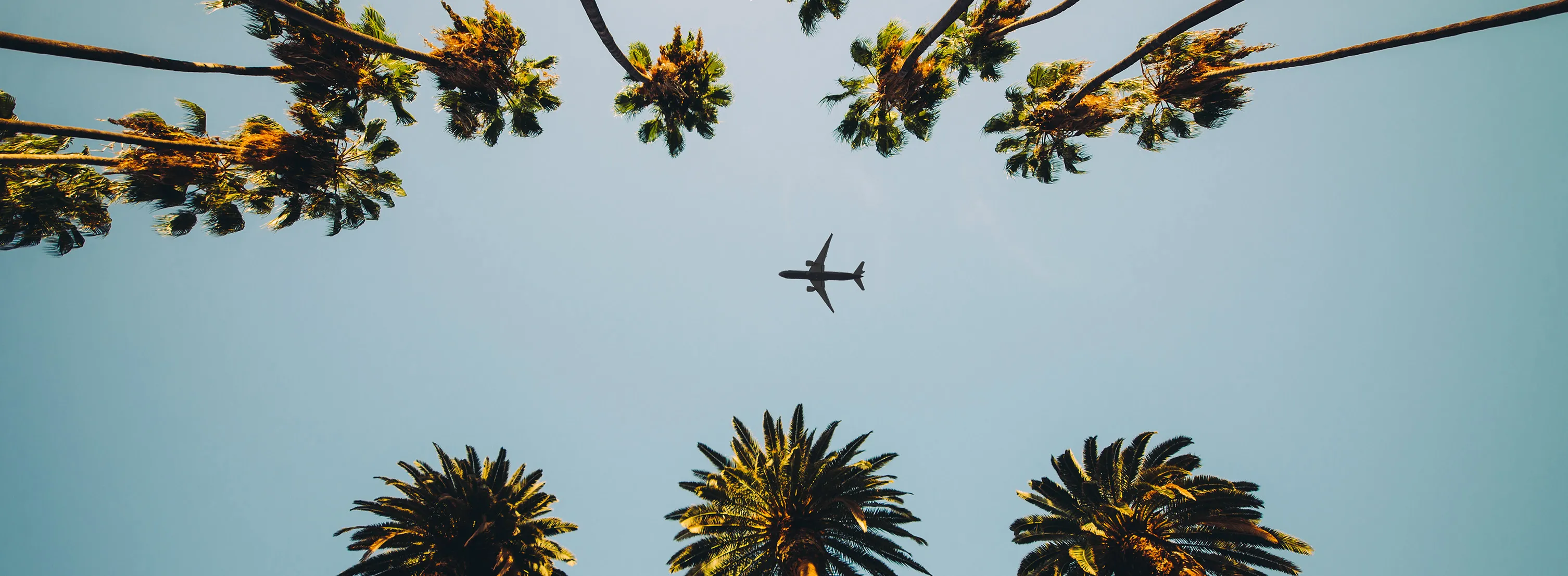 Active Winglets for Commercial Aircraft | Tamarack Aerospace