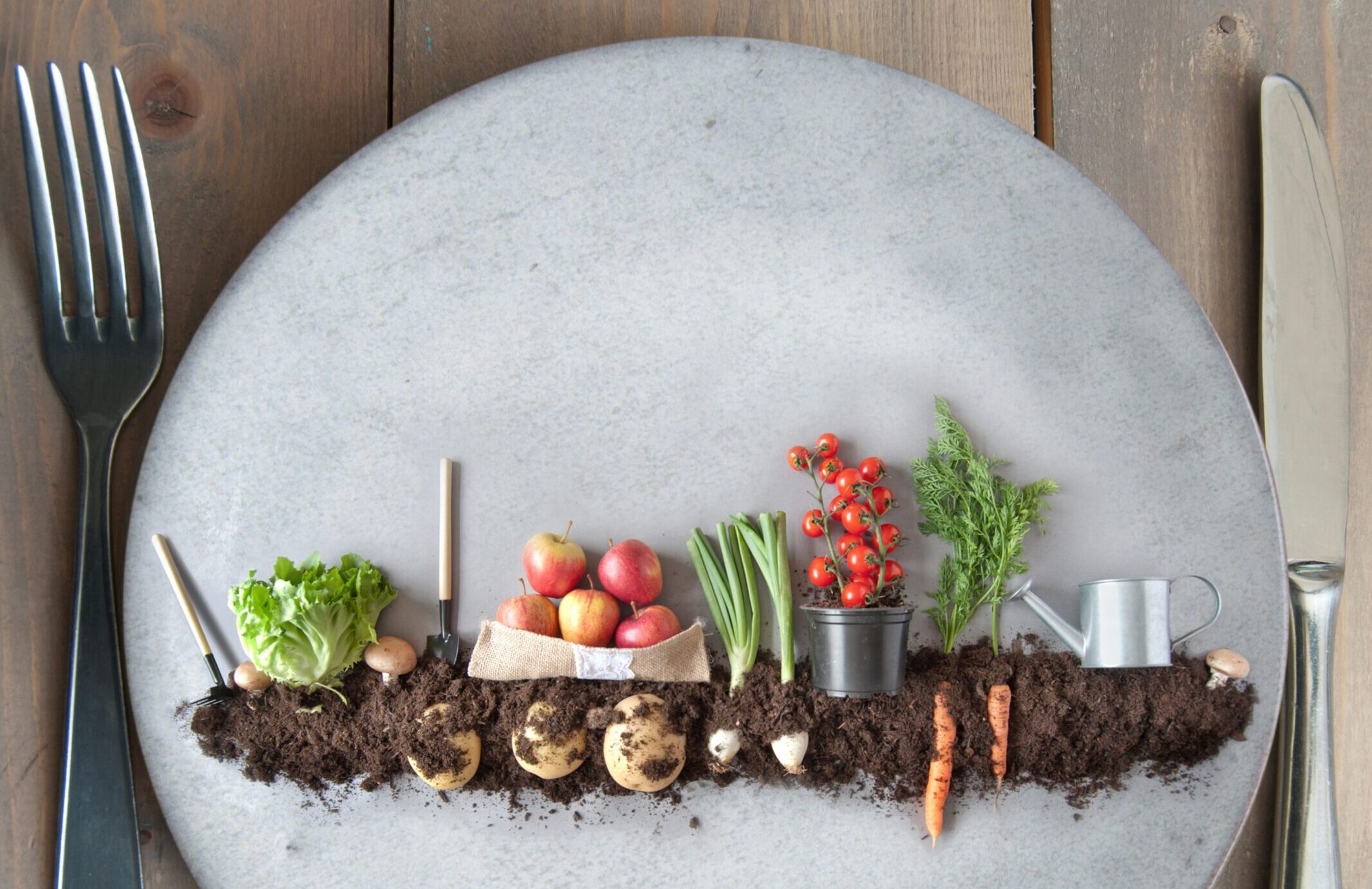 The Case for Meat Alternatives