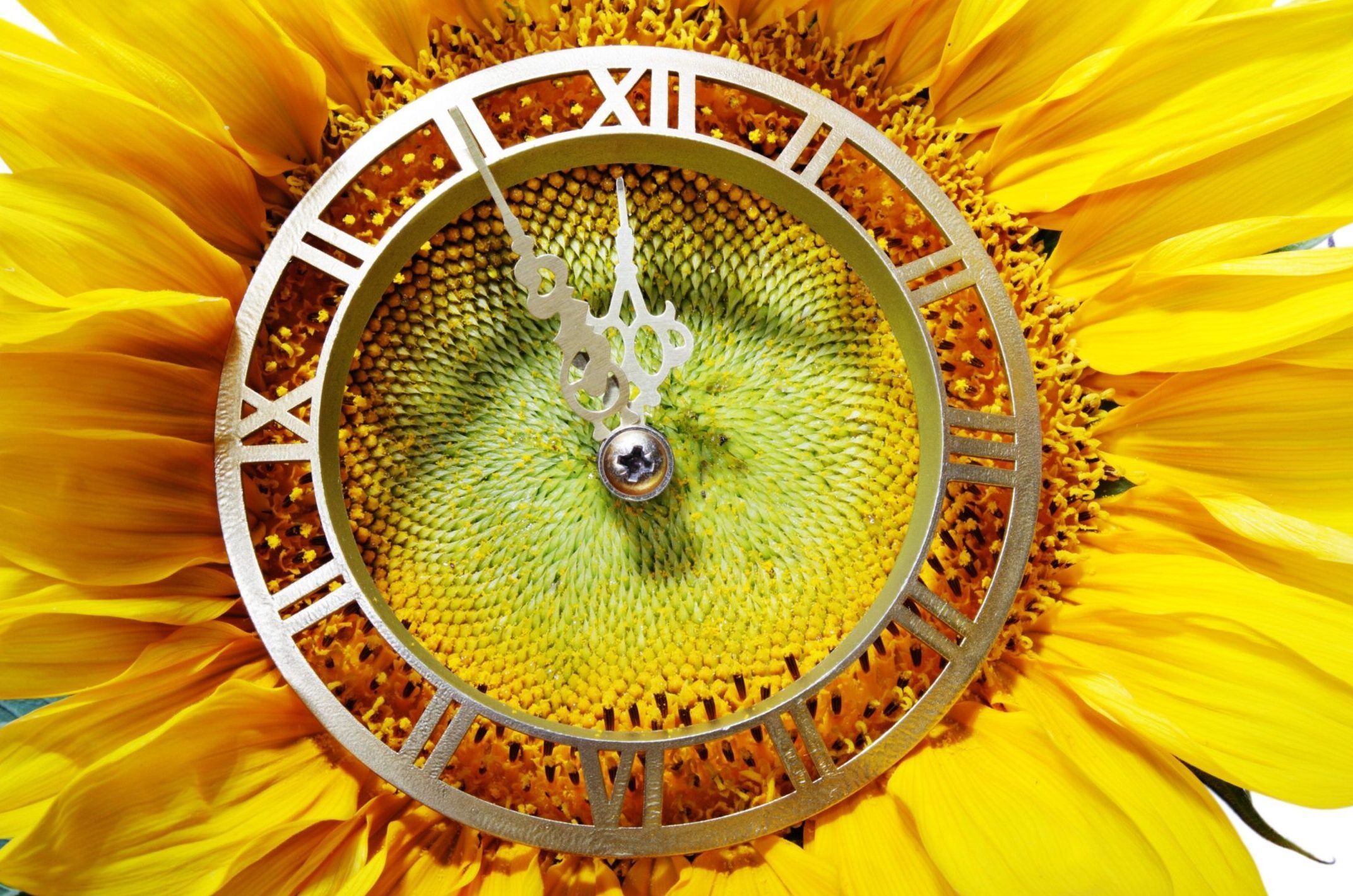 The Clock is Ticking, so we Need to Focus on What Matters and Need to Quantify Impact