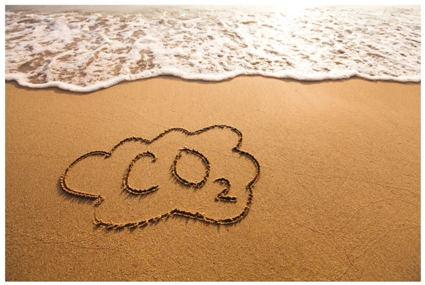 Analogy between CO2 avoidance and dieting