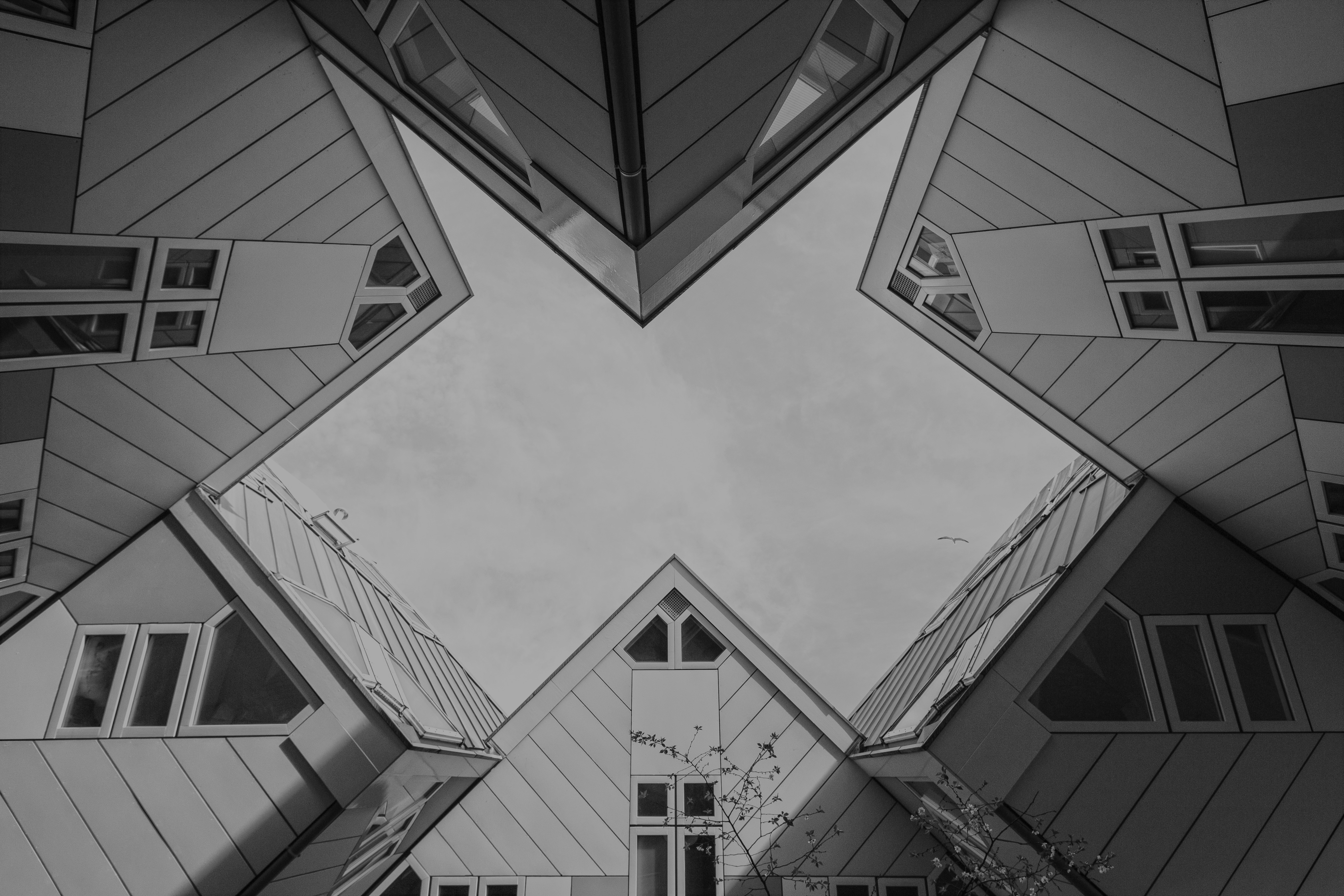 The House of the Future is Here