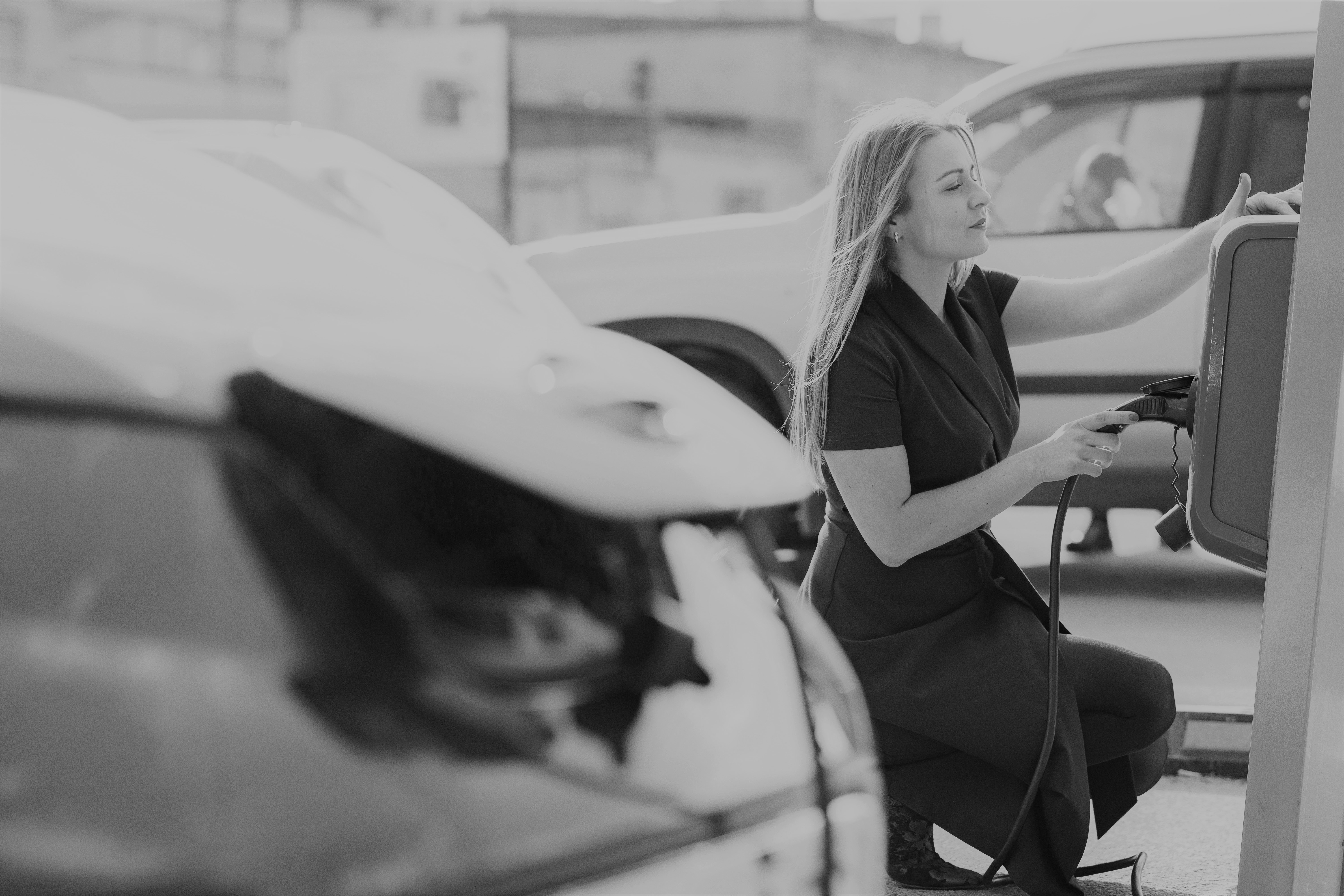 Chickens, Eggs, and Chargers