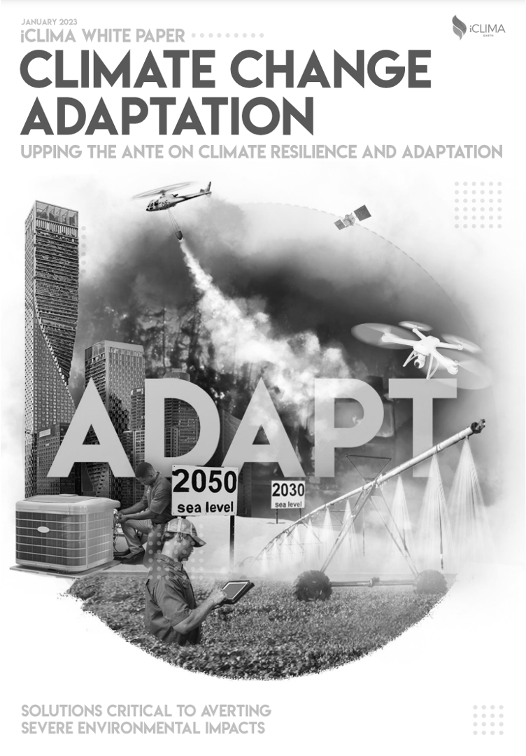 Upping the Ante on Climate Change Adaptation - An iClima White Paper on Climate Resilience and Adaptation