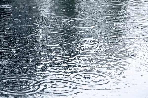 Rain