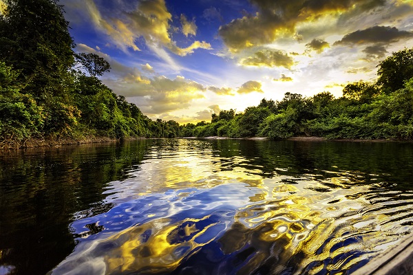 Amazon River