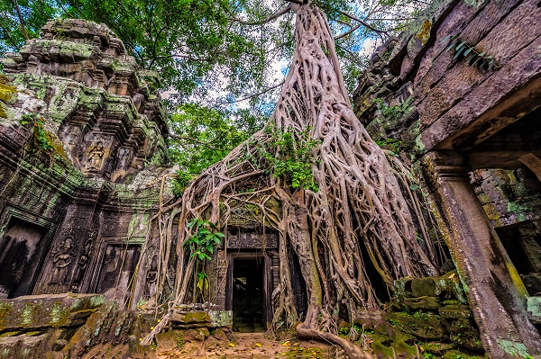 Ta Prohm