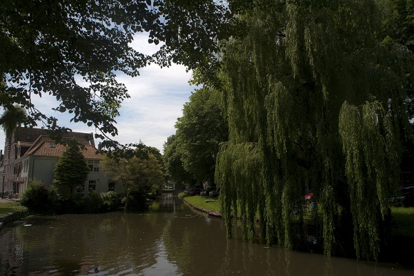 Edam