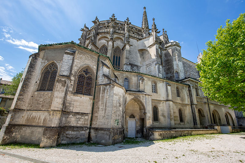 Cathédrale Saint-Vincent, Viviers