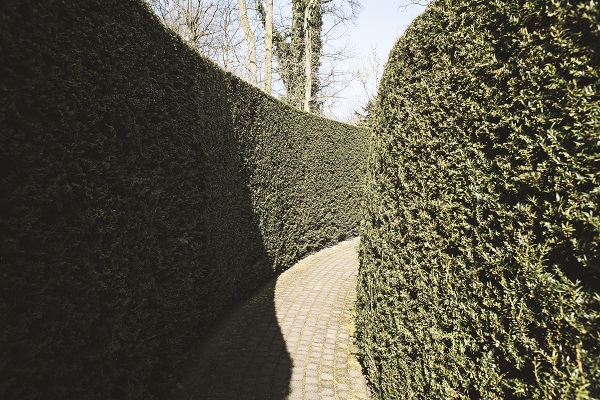 Keukenhof Maze