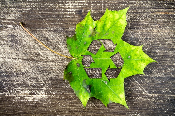 Recycle Leaf