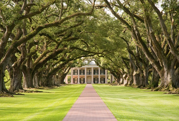 Oak Alley Plantation