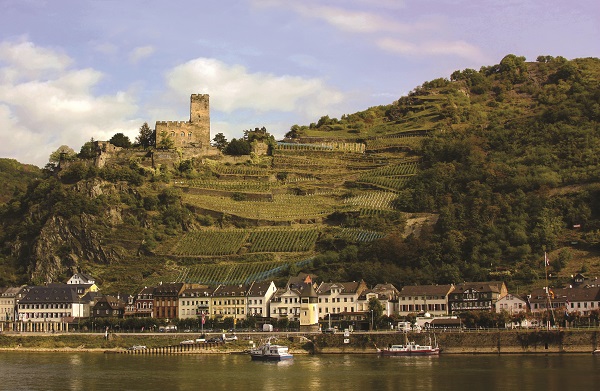 Rhine