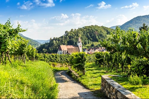 Spitz Vinyard