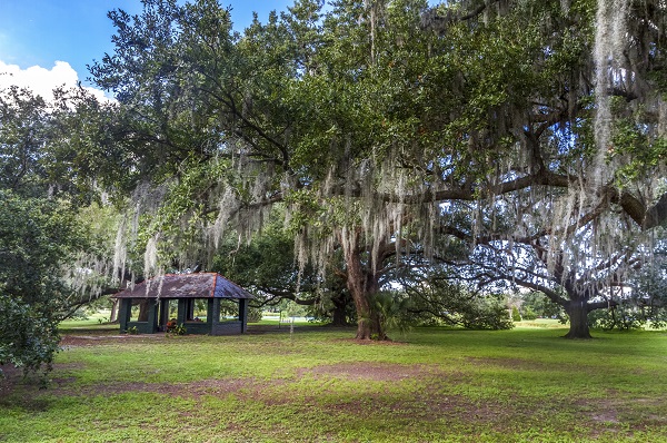 City Park New Orleans