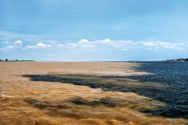 Manaus Confluence