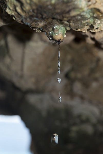 Water Droplet