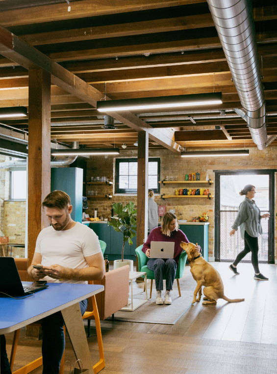 Patch | Coworking, offices and community