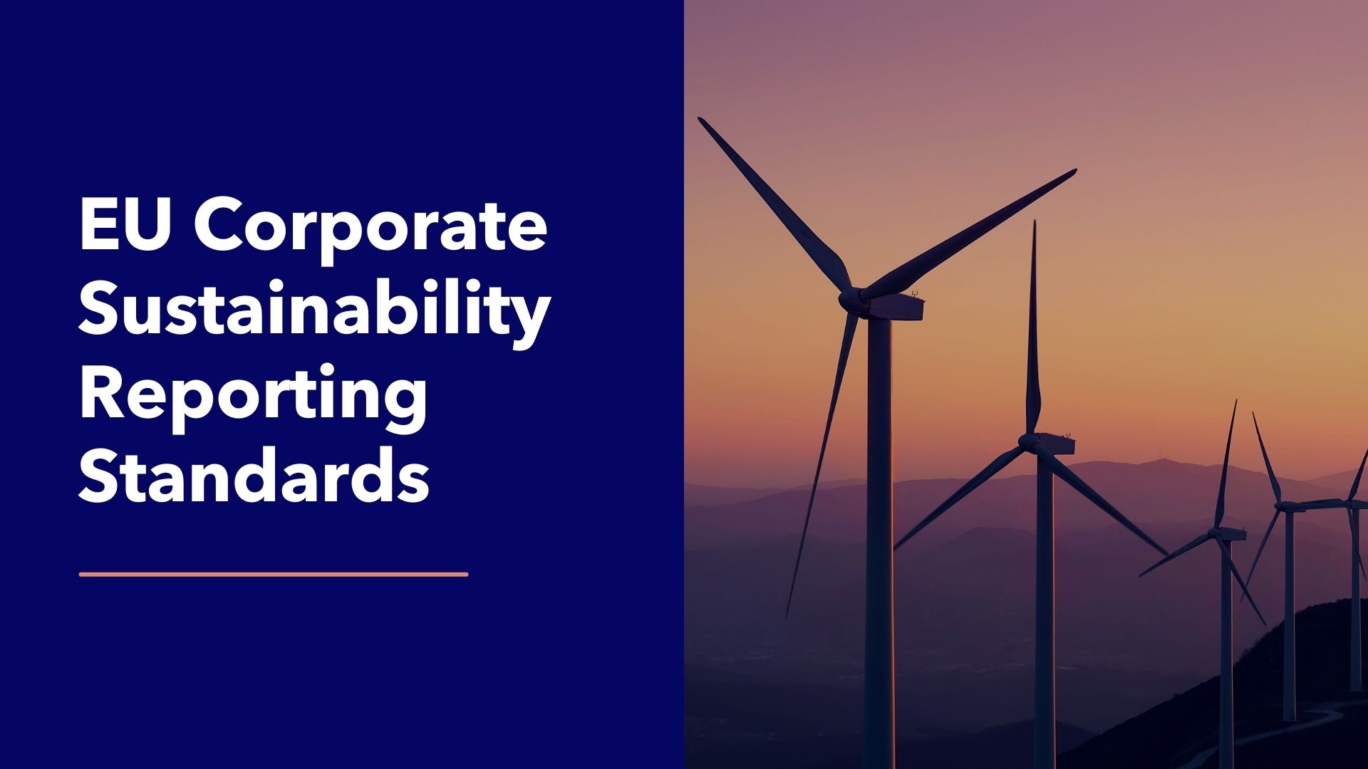 EU leading the way with new Corporate Sustainability Reporting ...
