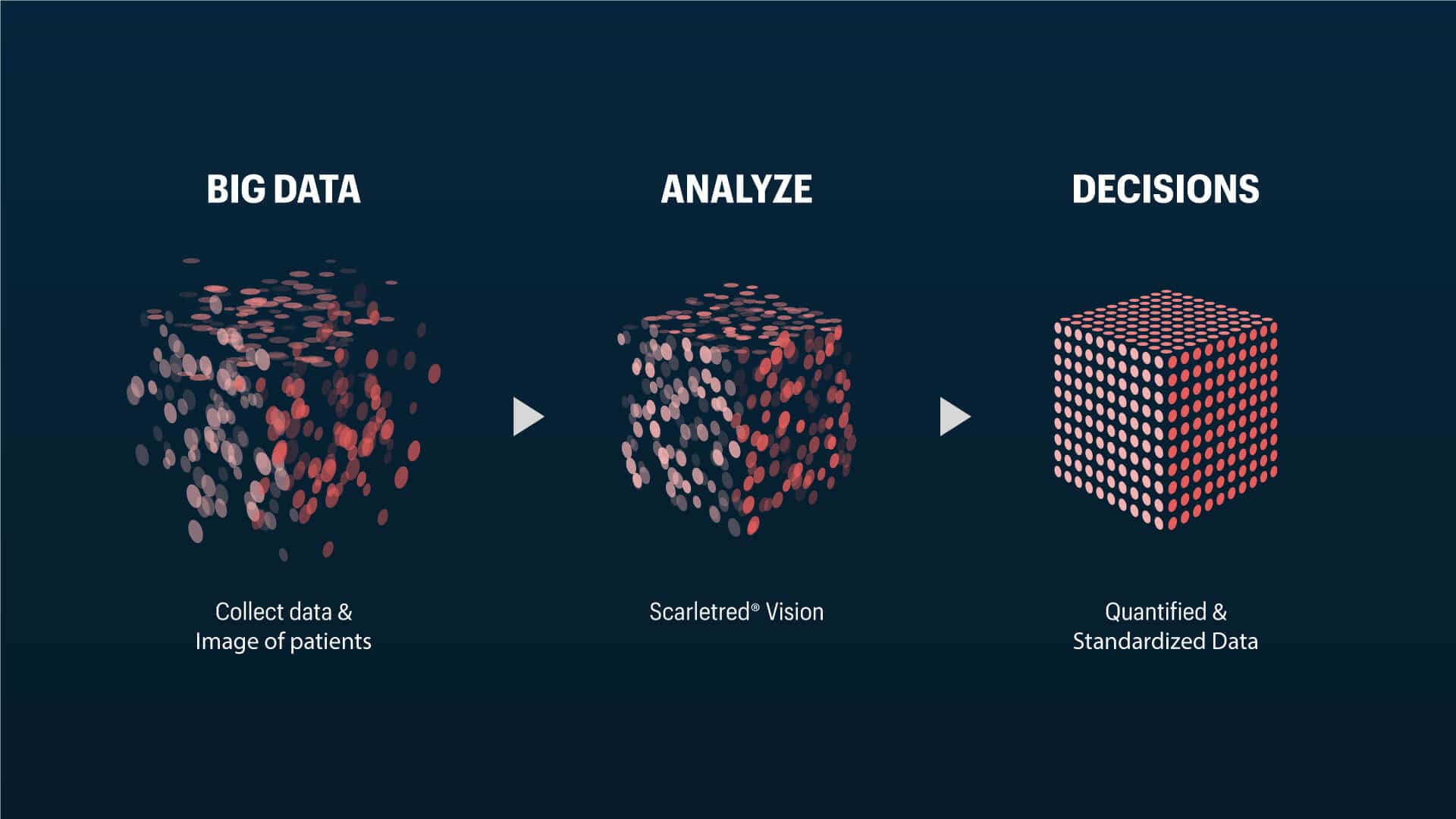 Organizing big data into smart data with ScarletredVision to make decisons