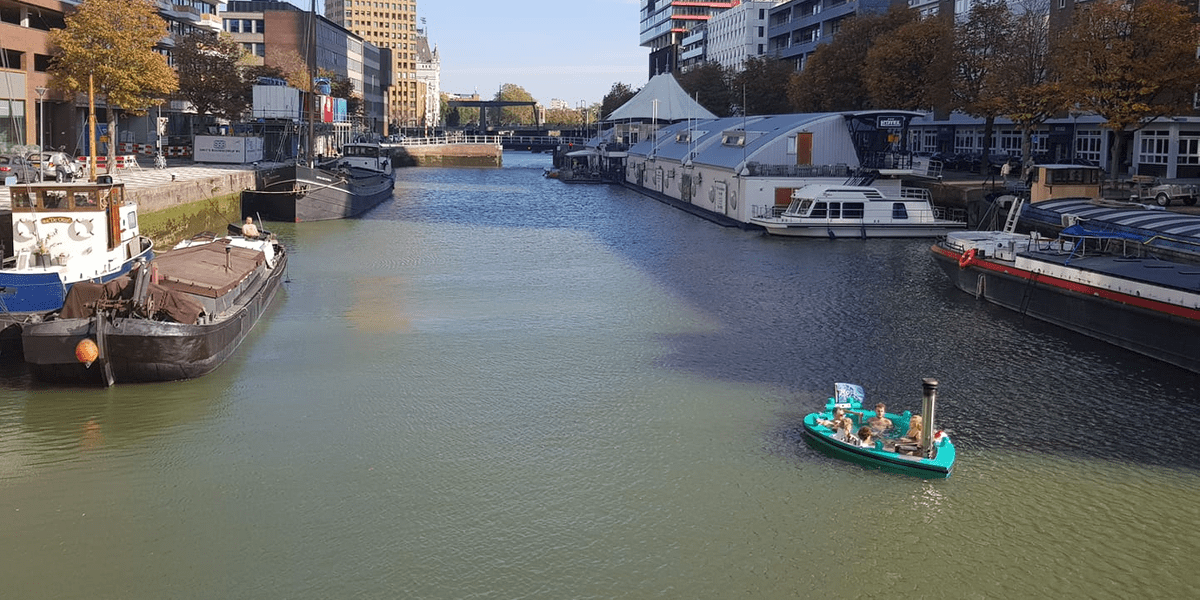 10 Best team building activities in Rotterdam, Netherlands Surf Office