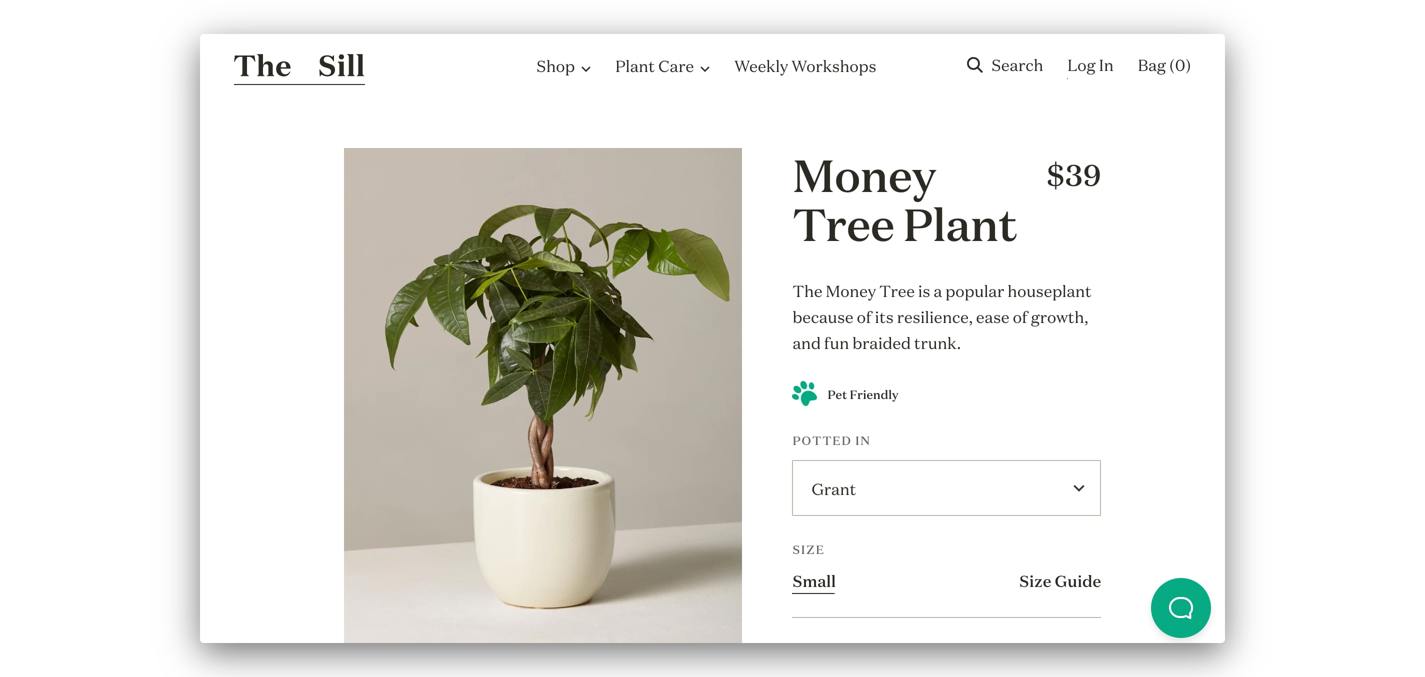 money tree