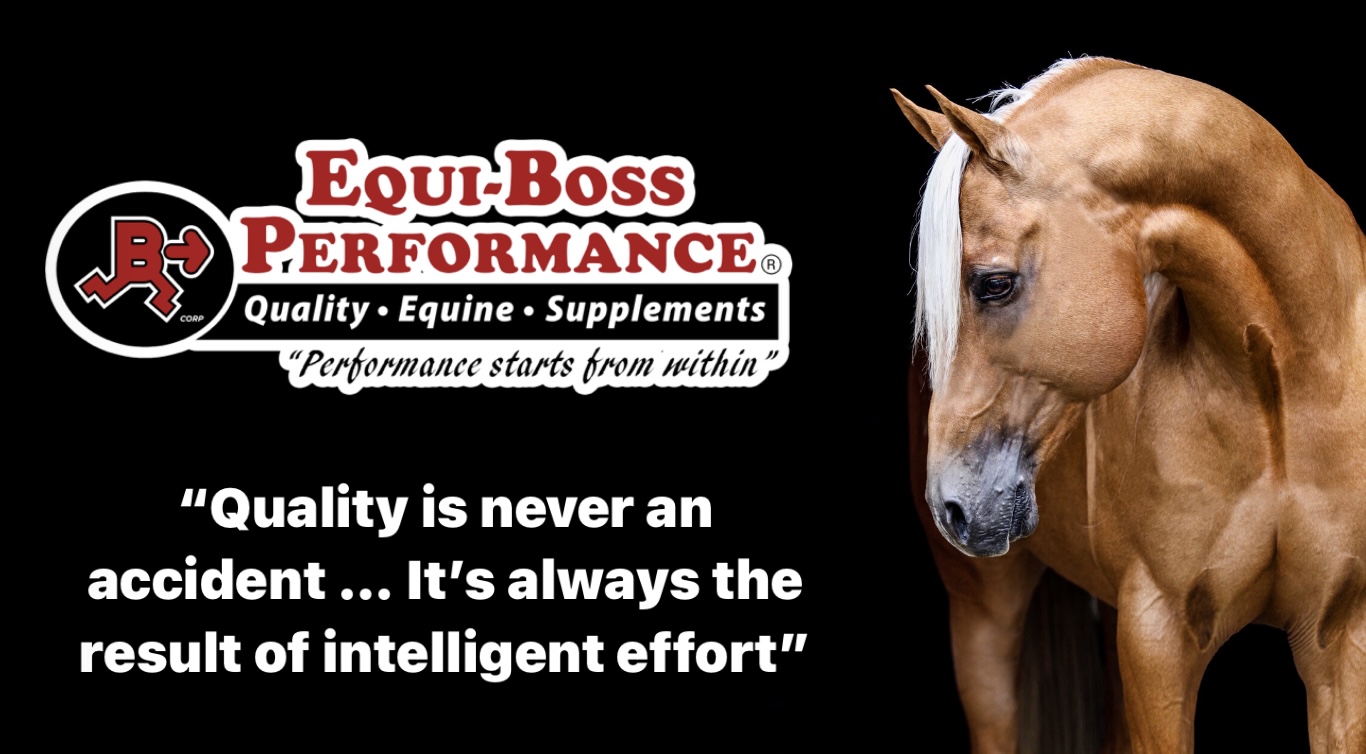 Contact Equiboss Performance