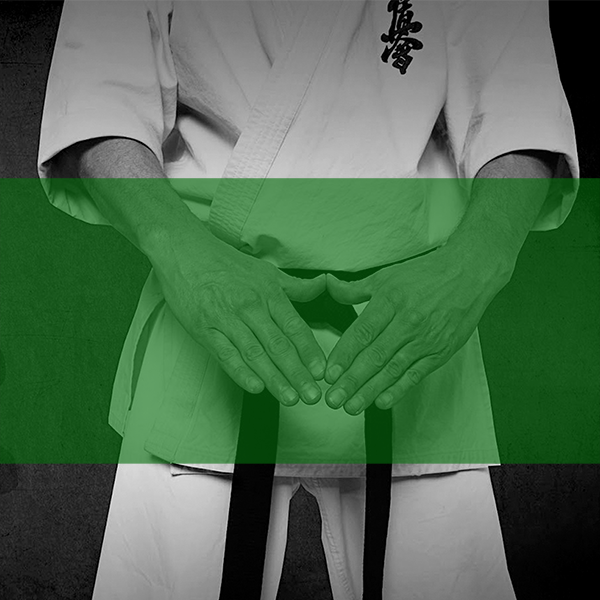 an image of a blue-green belt student