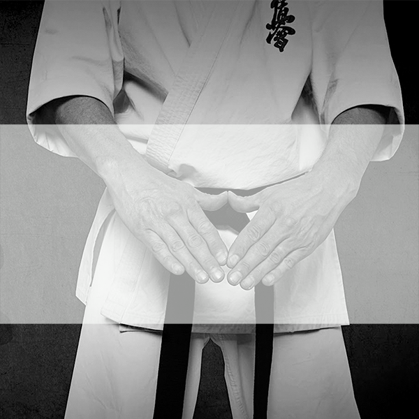 an image of a white-yellow belt student