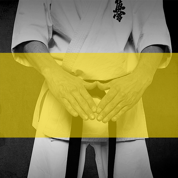 an image of a yellow-blue belt student