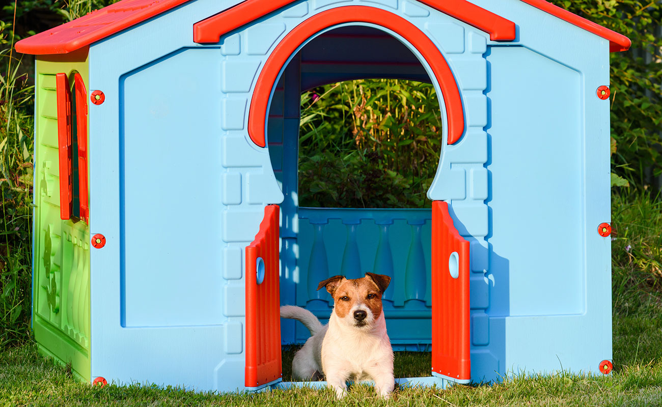 Mid range Pet friendly Home Renovations Refresh Renovations United States mid-range-pet-friendly-home-renovations-refresh-renovations-united-states