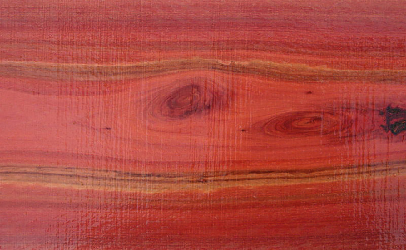 Best wood for your renovation | Inspiration & Advice