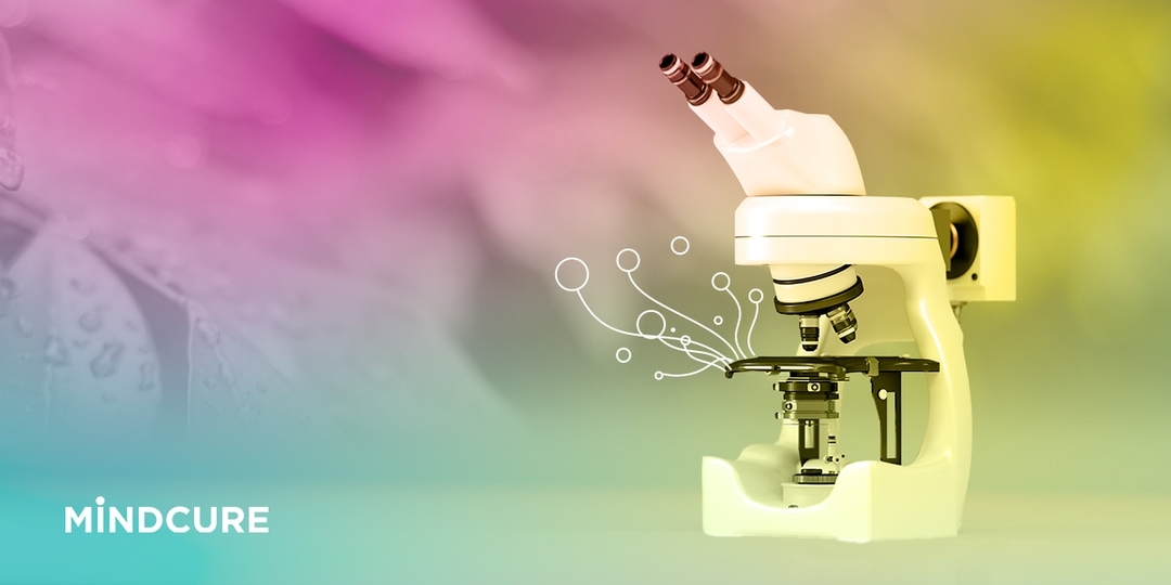 What does synthesize mean in writing picture