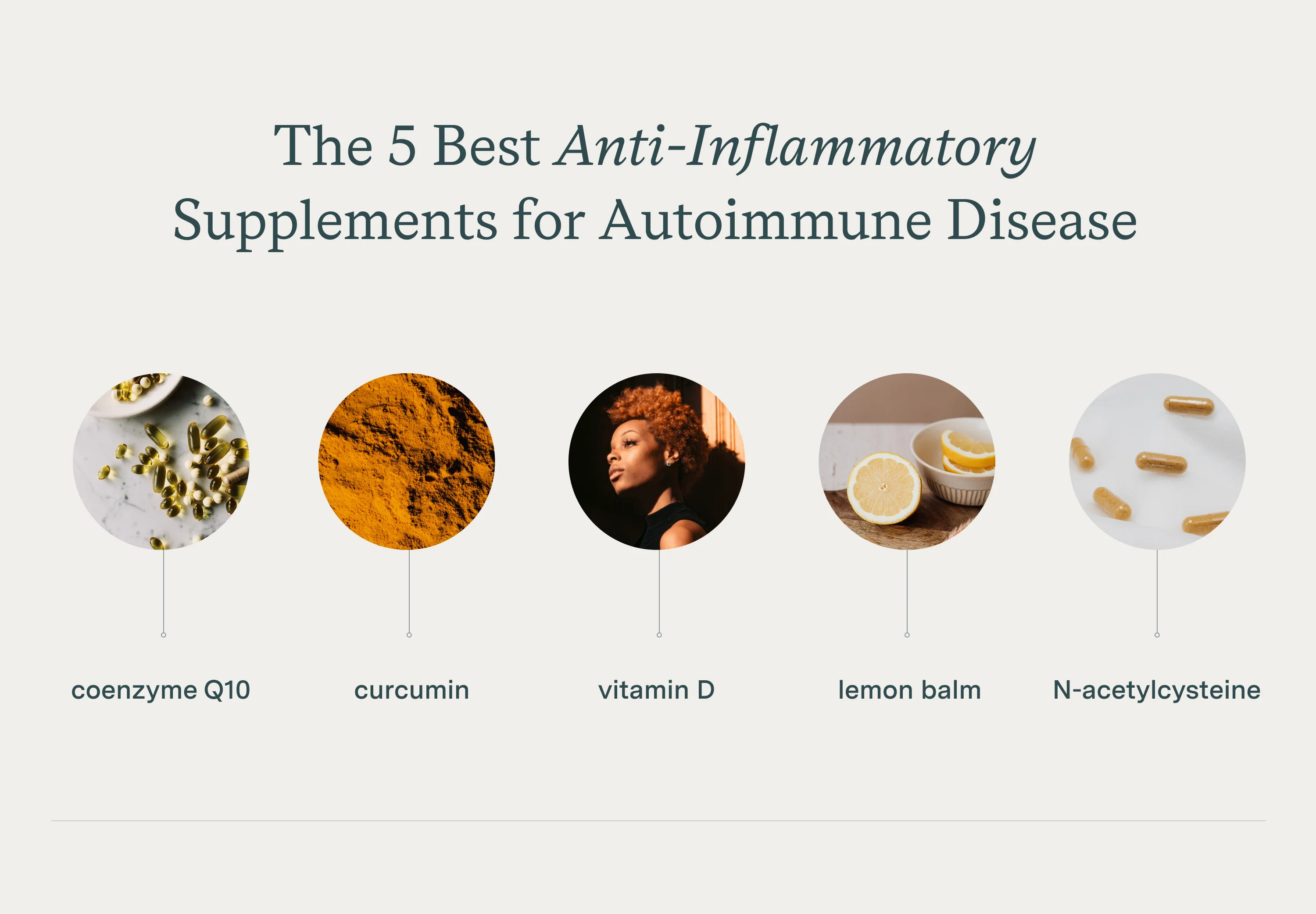 Supplements To Calm Overactive Immune System The 5 Best Anti-Inflammatory Supplements for Autoimmune Disease