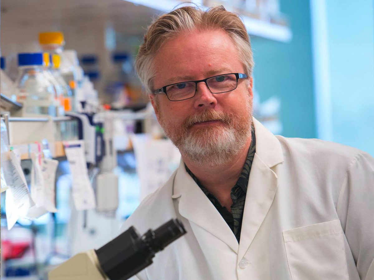 How Louisiana Researchers Are Using Artificial Intelligence to Fight ...