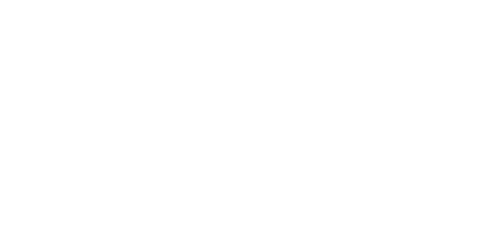 Lasting Impact Strategy