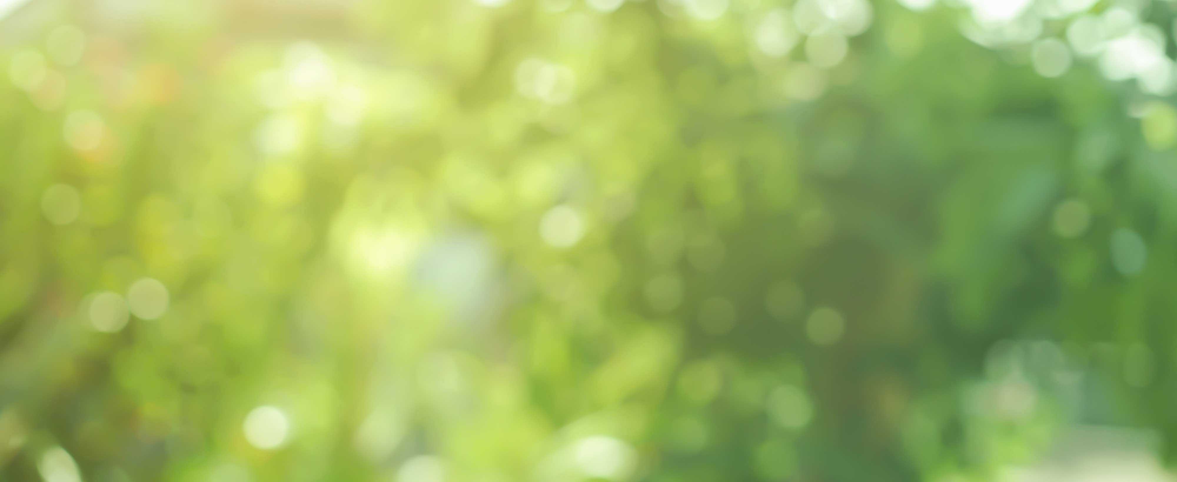 green plant background